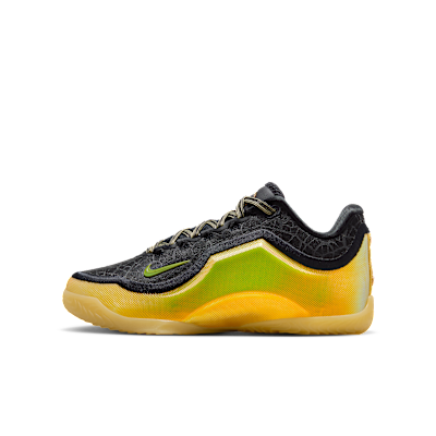 LEBRON+XXIII+HFWH+(GS).png